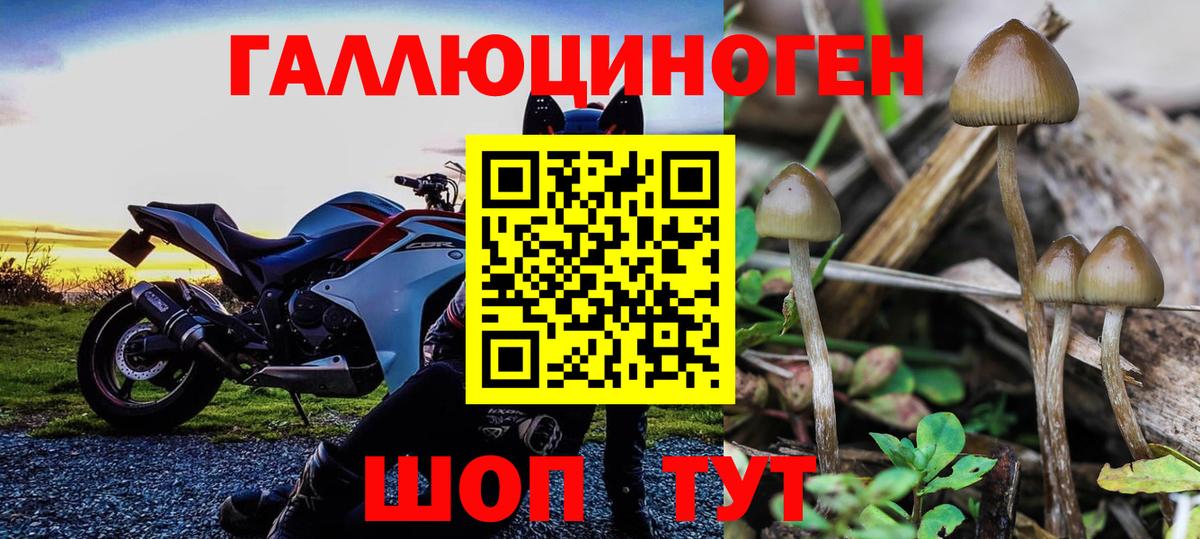 Псилоцибиновые грибы мицелий Лысьва