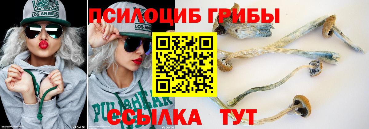 Лысьва  где купить наркотик  Вход с VPN  Галлюциногенные грибы мухоморы  Псилоцибиновые грибы прущие грибы 